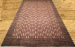 MODERN BARJISTA 6.3 x 9.8 Carpet